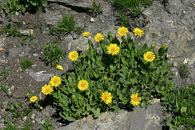 BUITEN BEELD Foto: 449247