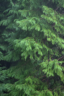 BUITEN BEELD Foto: 449252
