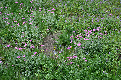 BUITEN BEELD Foto: 449260