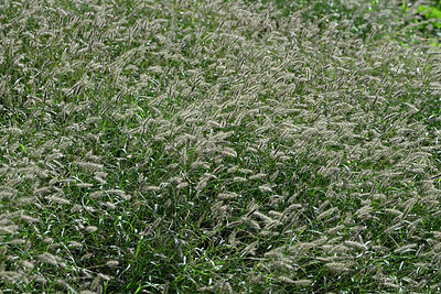 BUITEN BEELD Foto: 449263