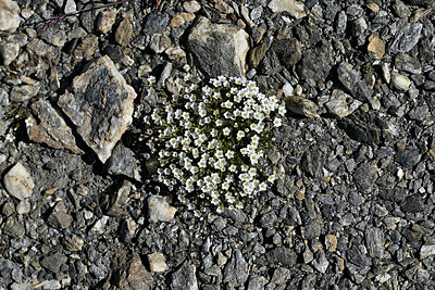 BUITEN BEELD Foto: 449269