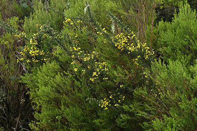BUITEN BEELD Foto: 449278