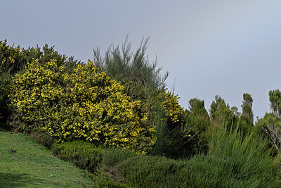 BUITEN BEELD Foto: 449279