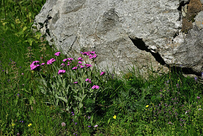 BUITEN BEELD Foto: 449288
