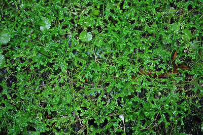 BUITEN BEELD Foto: 449289