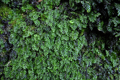 BUITEN BEELD Foto: 449293