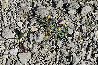 BUITEN BEELD Foto: 449297