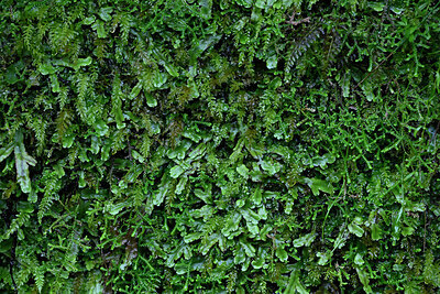 BUITEN BEELD Foto: 449300