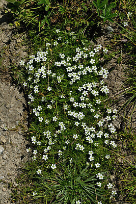 BUITEN BEELD Foto: 449307
