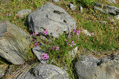 BUITEN BEELD Foto: 449309