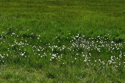 BUITEN BEELD Foto: 449317