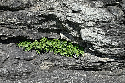 BUITEN BEELD Foto: 449320