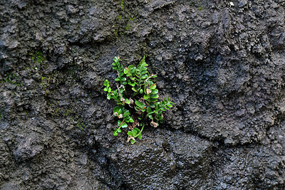 BUITEN BEELD Foto: 449325
