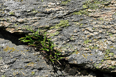 BUITEN BEELD Foto: 449335