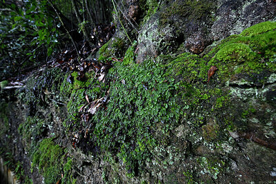 BUITEN BEELD Foto: 449342