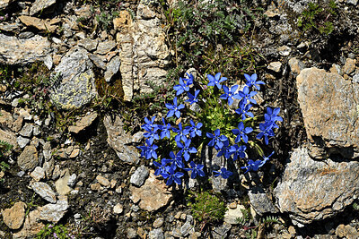 BUITEN BEELD Foto: 449349