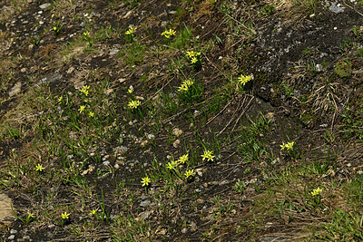 BUITEN BEELD Foto: 449351