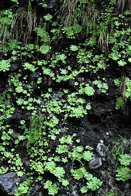 BUITEN BEELD Foto: 449362