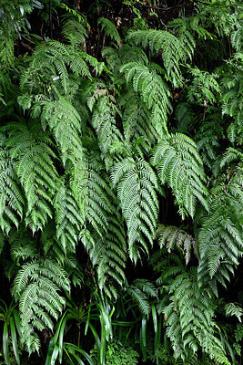 BUITEN BEELD Foto: 449363