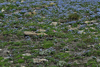 BUITEN BEELD Foto: 449364