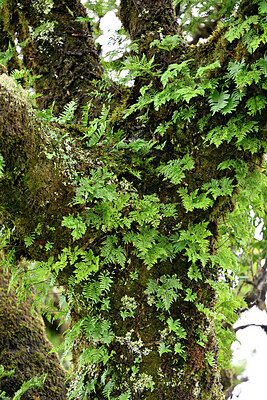 BUITEN BEELD Foto: 449375