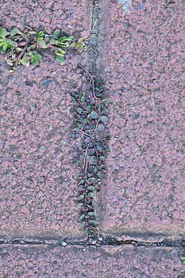 BUITEN BEELD Foto: 449395