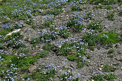 BUITEN BEELD Foto: 449398