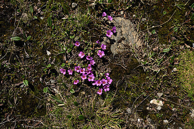 BUITEN BEELD Foto: 449401
