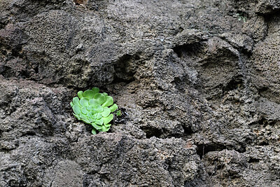 BUITEN BEELD Foto: 449409