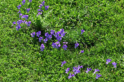 BUITEN BEELD Foto: 449412