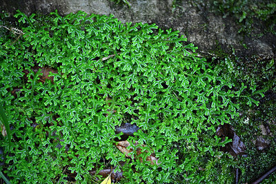 BUITEN BEELD Foto: 449419