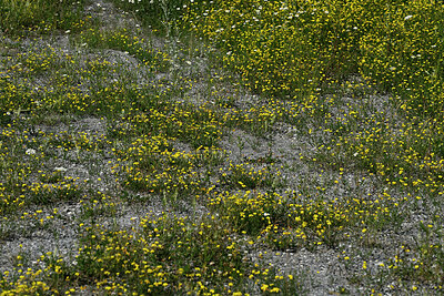 BUITEN BEELD Foto: 449435