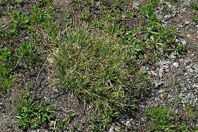 BUITEN BEELD Foto: 449436