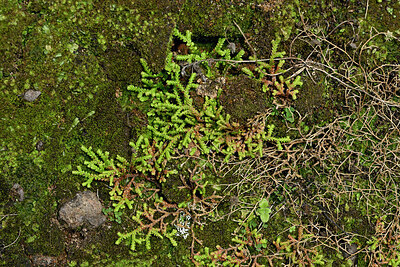BUITEN BEELD Foto: 449454