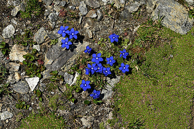BUITEN BEELD Foto: 449465