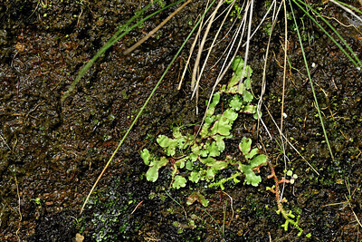 BUITEN BEELD Foto: 449475