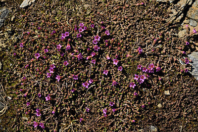 BUITEN BEELD Foto: 449476