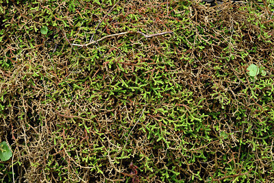 BUITEN BEELD Foto: 449481