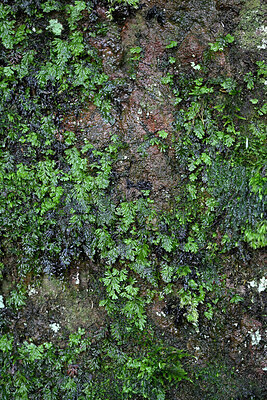 BUITEN BEELD Foto: 449491