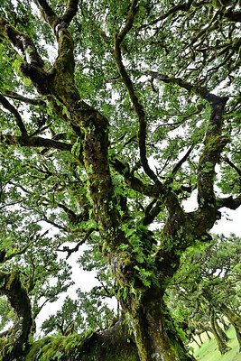 BUITEN BEELD Foto: 449492