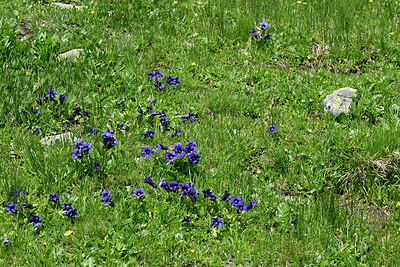 BUITEN BEELD Foto: 449495