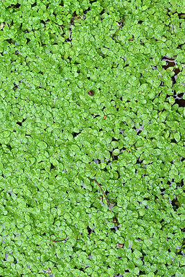 BUITEN BEELD Foto: 449499