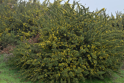 BUITEN BEELD Foto: 449504