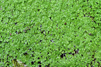 BUITEN BEELD Foto: 449507