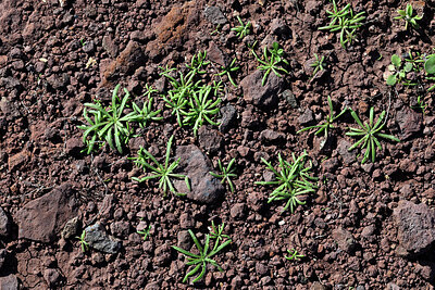 BUITEN BEELD Foto: 449546