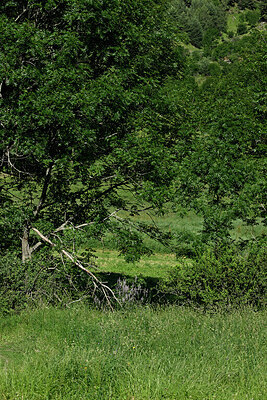BUITEN BEELD Foto: 449551