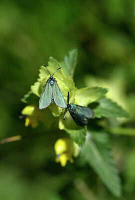 BUITEN BEELD Foto: 449573
