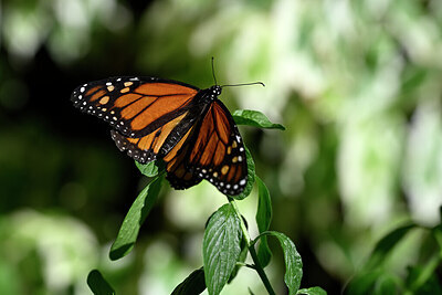 BUITEN BEELD Foto: 449600