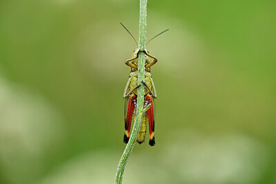 BUITEN BEELD Foto: 449640