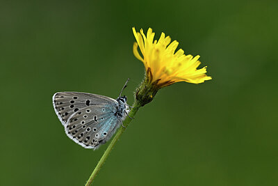 BUITEN BEELD Foto: 449659